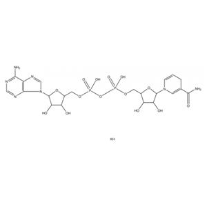 aladdin 阿拉丁 N350287 还原型 β-烟酰胺腺嘌呤二核苷酸 二钾盐 104809-32-7 ≥95%