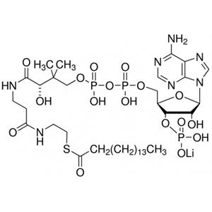 棕榈酰辅酶A锂盐,Palmitoyl coenzyme A lithium salt