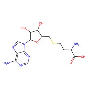aladdin 阿拉丁 S427199 S-(5’-腺苷)-L-高半胱氨酸 979-92-0 10mM in DMSO