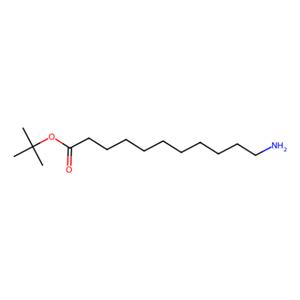 aladdin 阿拉丁 T412719 11-氨基十一酸叔丁酯 220851-29-6 97%
