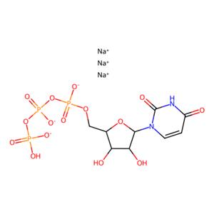 尿苷-5′-三磷酸酯 三钠盐 水合物,Uridine 5′-triphosphate trisodium salt hydrate