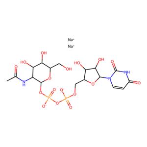 尿苷-5′-二磷酸-N-乙酰基-葡糖胺钠盐,Uridine 5’-Diphospho-N-acetylglucosamine Disodium Salt