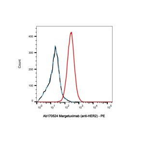 Margetuximab (anti-HER2),Margetuximab (anti-HER2)