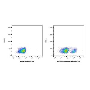 Sotigalimab (anti-CD40),Sotigalimab (anti-CD40)