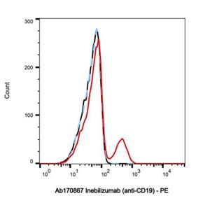 Inebilizumab (anti-CD19),Inebilizumab (anti-CD19)