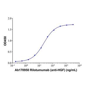 Rilotumumab (anti-HGF),Rilotumumab (anti-HGF)