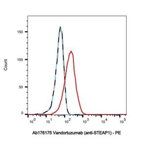 Vandortuzumab (anti-STEAP1),Vandortuzumab (anti-STEAP1)