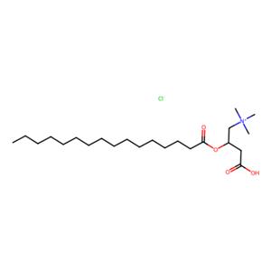 （±）-棕榈酰肉碱氯化物,(±)-Palmitoylcarnitine chloride