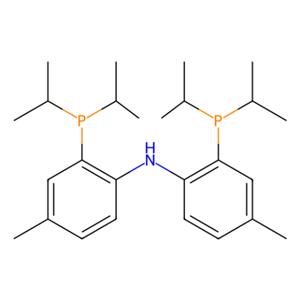 aladdin 阿拉丁 B281941 双[2-(二异丙基膦)-4-甲基苯基]胺 666856-94-6 ≥98%