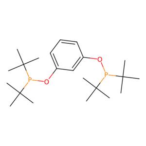 aladdin 阿拉丁 B405179 1,3-双[(二叔丁基膦)氧基]苯 338800-20-7 94%