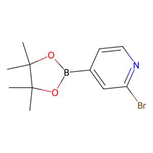 aladdin 阿拉丁 B589174 2-溴吡啶-4-硼酸频哪酯 458532-82-6 97%