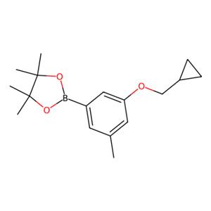 3-(环丙基甲氧基)-5-甲基苯基硼酸,频哪醇酯,3-(Cyclopropylmethoxy)-5-methylphenylboronic acid, pinacol ester