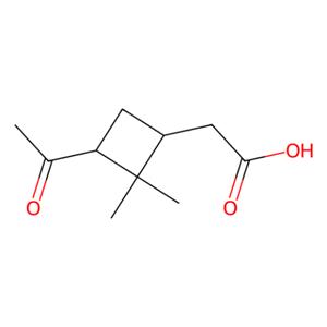 顺式-松香酸,cis-Pinonic acid