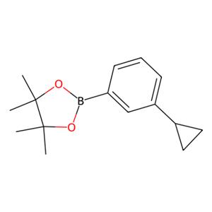 aladdin 阿拉丁 C589710 3-环丙基苯硼酸频哪醇酯 627526-56-1 95%