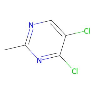 aladdin 阿拉丁 D192430 4,5-二氯-2-甲基嘧啶 26740-71-6 98%