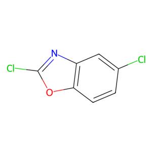 aladdin 阿拉丁 D192992 2,5-二氯苯并恶唑 3621-81-6 97%
