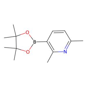 aladdin 阿拉丁 D194619 2,6-二甲基吡啶-3-硼酸频那醇酯 693774-10-6 95%