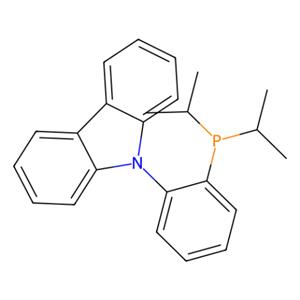 aladdin 阿拉丁 D281904 9-[2-[双(1-甲基乙基)膦基]苯基]-9H-咔唑 1308652-65-4 97%