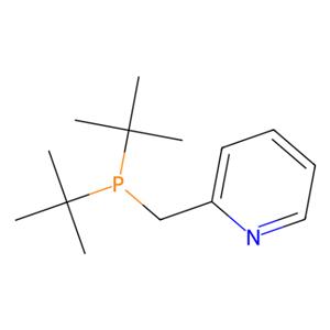 aladdin 阿拉丁 D282237 2-(二叔丁基膦甲基)吡啶 494199-72-3 99%