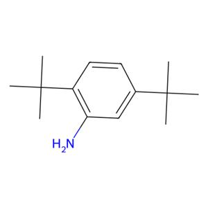 aladdin 阿拉丁 D474266 2,5-二-叔-丁基苯胺 21860-03-7 99%