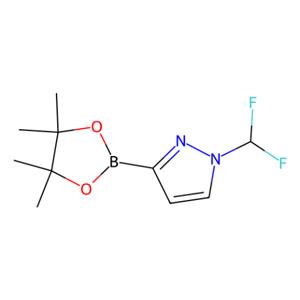 aladdin 阿拉丁 D588154 1-二氟甲基吡唑-3-硼酸频哪醇酯 2173194-53-9 97%