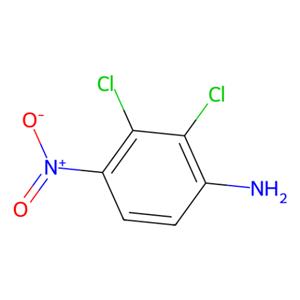 aladdin 阿拉丁 D589935 2,3-二氯-4-硝基苯胺 69951-03-7 95%