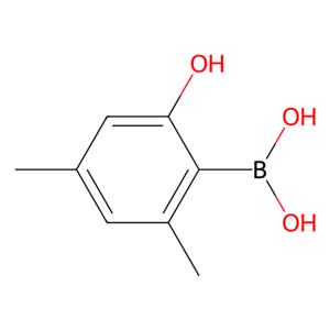 aladdin 阿拉丁 H587202 (2-羟基-4,6-二甲基苯基)硼酸 1421935-36-5 97%