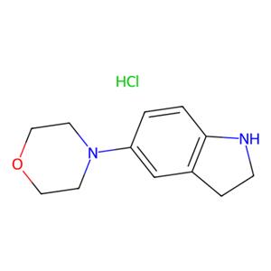 aladdin 阿拉丁 I191373 4-(吲哚-5-基)吗啉盐酸盐 1646152-53-5 95%