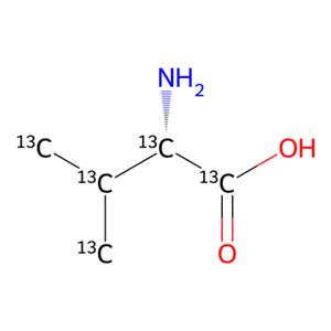 aladdin 阿拉丁 L474033 L-缬氨酸-13C? 55443-52-2 99 atom% 13C, 97% (CP)