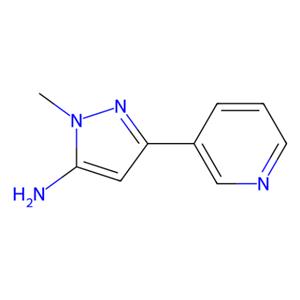 aladdin 阿拉丁 M169276 1-甲基-3-吡啶-3-基-1H-吡唑-5-胺 287494-25-1 97%