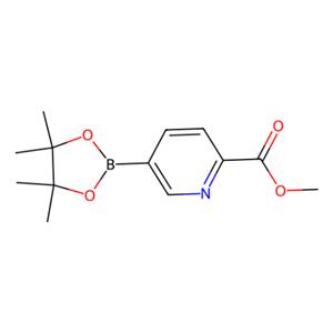 aladdin 阿拉丁 M178541 5-(四甲基-1,3,2-二氧杂硼硼烷-2-基)吡啶-2-羧酸甲酯 957065-99-5 97%