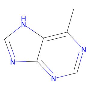 aladdin 阿拉丁 M333680 6-甲基嘌呤 2004-03-7 97%