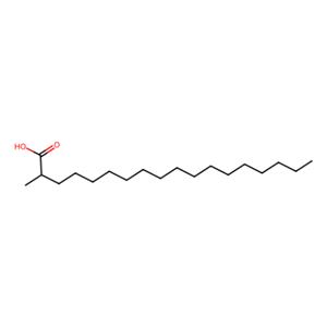 2-甲基十八烷酸,2-Methyloctadecanoic acid