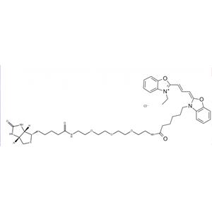 Cy2 PEG 生物素,Cy2 PEG Biotin