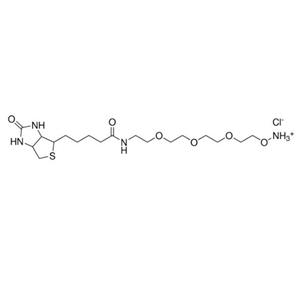 aladdin 阿拉丁 B487942 生物素-dPEG??-氧基胺盐酸盐 98%