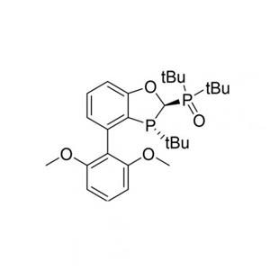 aladdin 阿拉丁 D489867 二叔丁基((2R,3R)-3-(叔丁基)-4-(2,6-二甲氧基苯基)-2,3-二氢苯并[d][1,3]氧膦杂环-2-基)氧化膦 97%，99% ee