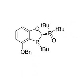 aladdin 阿拉丁 R419735 ((2R,3R)-4-(苄氧基)-3-(叔丁基)-2,3-二氢苯并[d][1,3]氧膦杂环-2-基)二叔丁基氧化膦 97%，99% ee