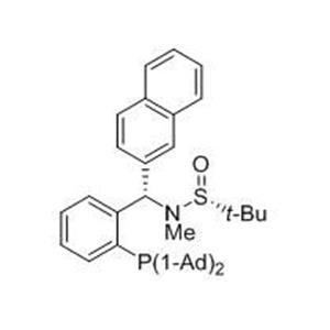 aladdin 阿拉丁 S399111 [S(R)]-N-[(S)-[2-(二金刚烷基膦)苯基](2-萘基)甲基]-N-甲基-2-叔丁基亚磺酰胺 ≥95%