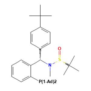 aladdin 阿拉丁 S399151 [S(R)]-N-[(S)-(4-叔丁基苯基)[2-(二金刚烷基膦)苯基]甲基]-N-甲基-2-叔丁基亚磺酰胺 ≥95%