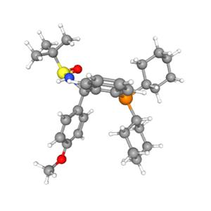 [S(R)]-N-[(R)-(4-甲氧基苯基)[2-(二環(huán)己基膦)苯基]甲基]-2-叔丁基亞磺酰胺,[S(R)]-N-[(R)-(4-Methoxyphenyl)[2-(dicyclohexylphosphino)phenyl]methyl]-2-methyl-2-propanesulfinamide