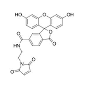aladdin 阿拉丁 F171375 FAM马来酰亚胺,6-异构体 95%