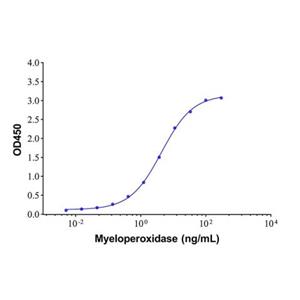 aladdin 阿拉丁 Ab005455 Myeloperoxidase Mouse mAb mAb(4C16-1); Mouse anti Human Myeloperoxidase Antibody; Capture Antibody, ELISA, CLIA, LF, GICA, FIA, LETIA; Unconjugated