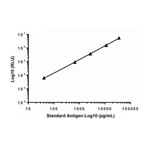 Recombinant Troponin I/TNNI3 Antibody,Recombinant Troponin I/TNNI3 Antibody