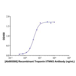 Recombinant Troponin I/TNNI3 Antibody,Recombinant Troponin I/TNNI3 Antibody