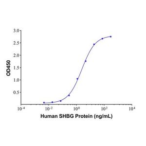 aladdin 阿拉丁 Ab005505 SHBG Mouse mAb mAb(3E10-1); Mouse anti Human SHBG Antibody; Capture Antibody, ELISA, CLIA, LF, GICA, FIA; Unconjugated