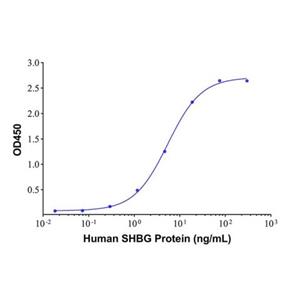 aladdin 阿拉丁 Ab005506 SHBG Mouse mAb mAb(3D8-2); Mouse anti Human SHBG Antibody; Detection Antibody, ELISA, CLIA, LF, GICA, FIA; Unconjugated