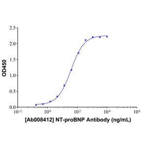 Recombinant NT-proBNP Antibody,Recombinant NT-proBNP Antibody
