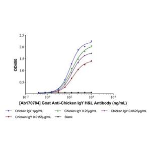 aladdin 阿拉丁 Ab008417 Chicken IgY (whole molecule) >90%; Isotype Control Antibody; Chicken IgY Antibody; Unconjugated