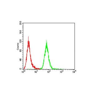 Albumin Mouse mAb,Albumin Mouse mAb