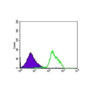 BECN1 Mouse mAb,BECN1 Mouse mAb